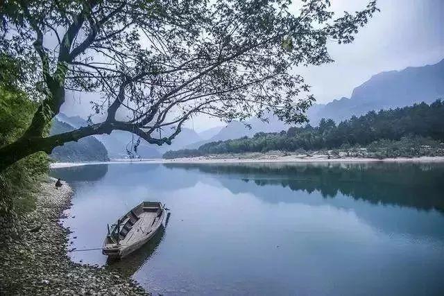 《暖心姜汤：驱寒暖身，滋润养生的冬日佳饮》